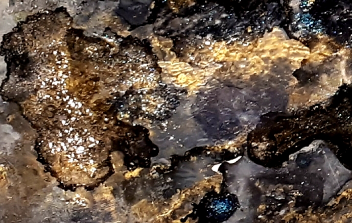 Black and Gold