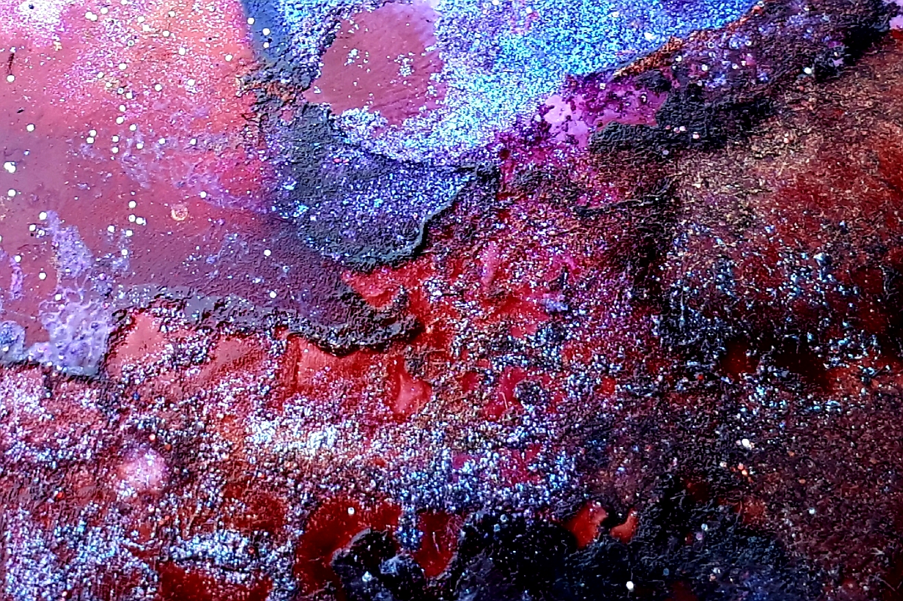 Coral Reef Landscape